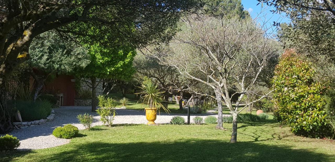 Pierres Blanches Acomodação com café da manhã Cotignac Exterior foto
